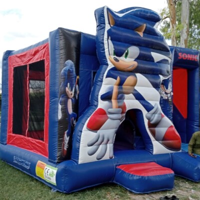 Sonic_theme_bouncing_castle_for_rental